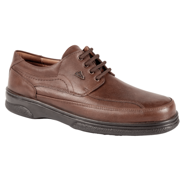 boxer11531brown