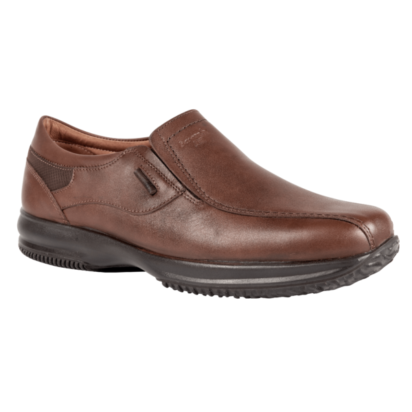 boxer12111brown