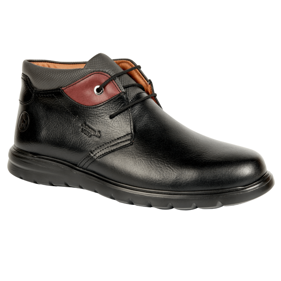 boxer21171